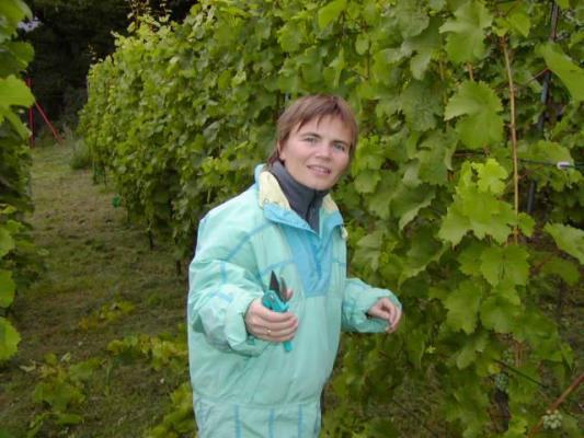 Mandy beim Gipfeln